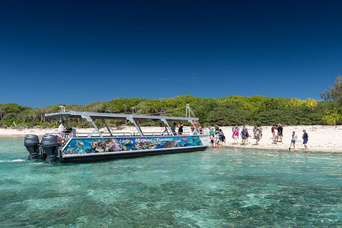 Lady Musgrave Day Trip From Bundaberg Including Snorkeling, Glass Bottom Tour And Guided Island Walk - Accommodation Bookings 5