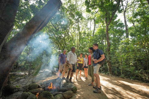 Aboriginal Cultural Daintree Rainforest Tour From Cairns Or Port Douglas - Accommodation Bookings 3