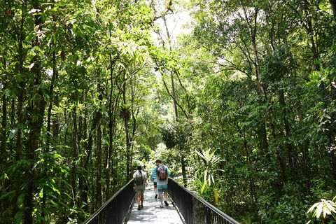 Aboriginal Cultural Daintree Rainforest Tour From Cairns Or Port Douglas - Accommodation Bookings 4