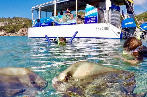 Aquascene Magnetic Island Discovery Tour - Accommodation Bookings 4