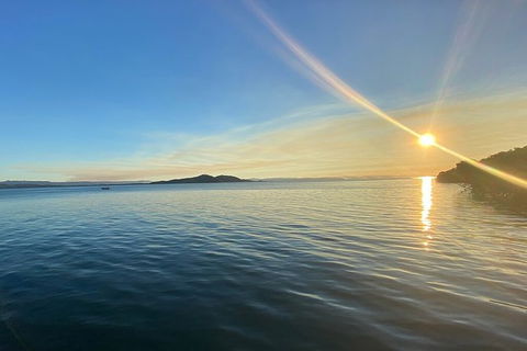 Aquascene Magnetic Island Discovery Tour - Accommodation Bookings 3