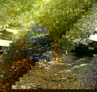 Barron Gorge and Kuranda National Park Half Day Rainforest and Waterfall 4WD Tour from Cairns - Accommodation Bookings