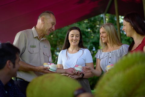 Daintree And Cape Tribulation Tour From Cairns - Accommodation Bookings 1