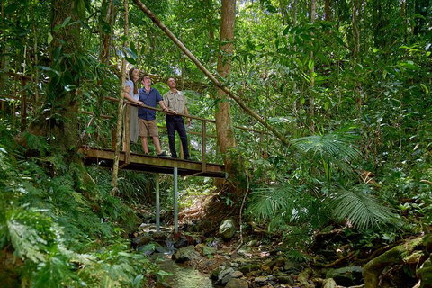 Daintree And Cape Tribulation Tour From Cairns - Accommodation Bookings 3