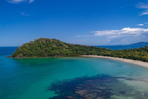 Daintree And Cape Tribulation Tour From Cairns - Accommodation Bookings 7
