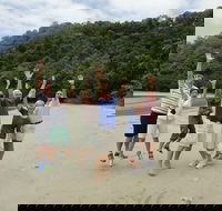 Small Group Daintree Rainforest Tour - Accommodation Bookings