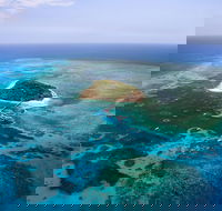 Great Barrier Reef High-Wing Scenic Flight from Cairns - Accommodation Bookings