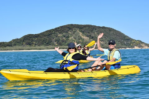 Kayak With Dolphins And 4WD Great Beach Drive Day Trip From Noosa - Accommodation Bookings 6