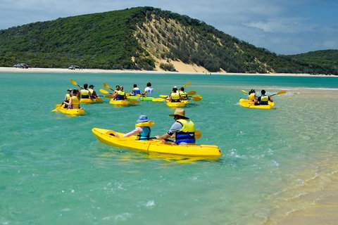 Kayak With Dolphins And 4WD Great Beach Drive Day Trip From Noosa - Accommodation Bookings 8