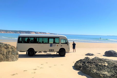 Kayak With Dolphins And 4WD Great Beach Drive Day Trip From Noosa - Accommodation Bookings 17