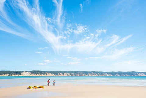 Kayak With Dolphins And 4WD Great Beach Drive Day Trip From Noosa - Accommodation Bookings 16