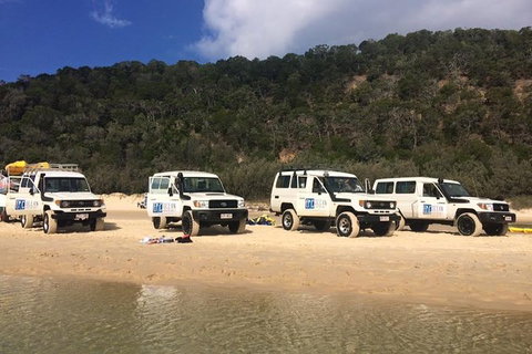 Kayak With Dolphins And 4WD Great Beach Drive Day Trip From Noosa - Accommodation Bookings 9