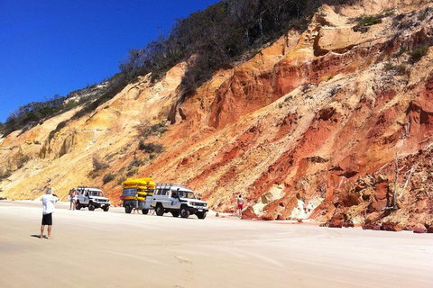 Kayak With Dolphins And 4WD Great Beach Drive Day Trip From Noosa - Accommodation Bookings 12