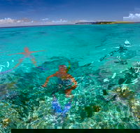 Green Island Discovery Including Glass Bottom Boat Tour Departing Cairns - Accommodation Bookings
