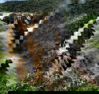 Cairns National Park Rainforest and Waterfall Small Group Tour Shore Excursion - Accommodation Bookings