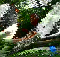 Kuranda Wildlife Experience Thee Attraction Pass - Accommodation Bookings
