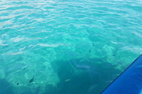 Gold Coast Try-Scuba Experience At Wave Break Island - Accommodation Bookings 12