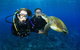 Gold Coast Try-Scuba Experience At Wave Break Island - thumb 0