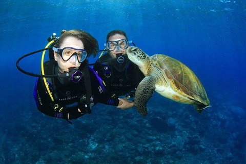 Gold Coast Try-Scuba Experience At Wave Break Island - Accommodation Bookings 0