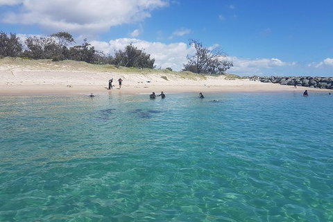 Gold Coast Try-Scuba Experience At Wave Break Island - Accommodation Bookings 14