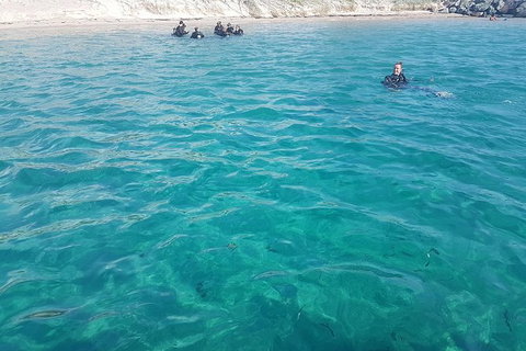 Gold Coast Try-Scuba Experience At Wave Break Island - Accommodation Bookings 13