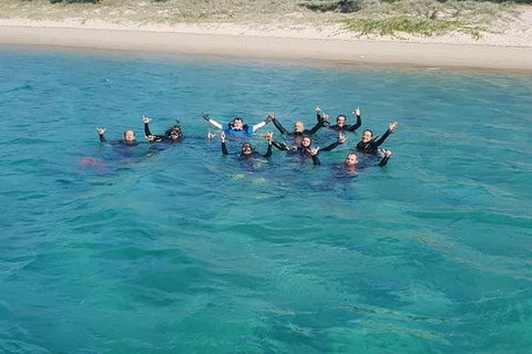 Gold Coast Try-Scuba Experience At Wave Break Island - Accommodation Bookings 7