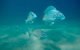 Gold Coast Try-Scuba Experience At Wave Break Island - thumb 6