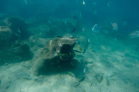 Gold Coast Try-Scuba Experience At Wave Break Island - Accommodation Bookings 5