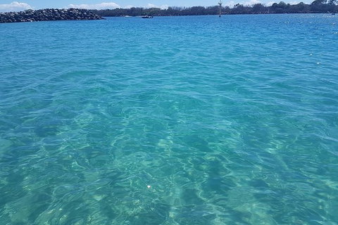 Gold Coast Try-Scuba Experience At Wave Break Island - Accommodation Bookings 9