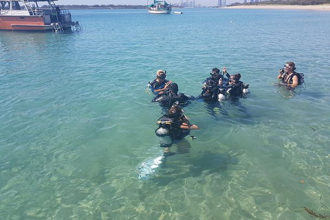 Gold Coast Try-Scuba Experience At Wave Break Island - Accommodation Bookings 11