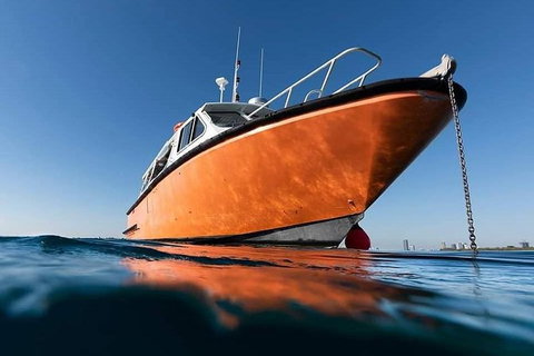 Gold Coast Try-Scuba Experience At Wave Break Island - Accommodation Bookings 2