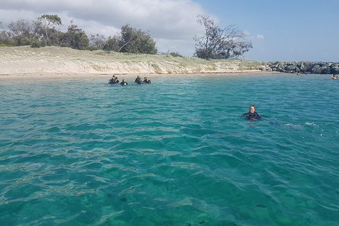Gold Coast Try-Scuba Experience At Wave Break Island - Accommodation Bookings 16