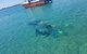 Gold Coast Try-Scuba Experience At Wave Break Island - thumb 15