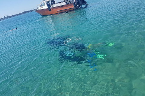 Gold Coast Try-Scuba Experience At Wave Break Island - Accommodation Bookings 15