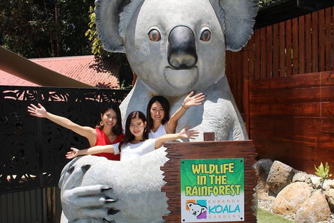 Kuranda Koala Gardens And Birdworld Admission Tickets - Accommodation Bookings 1