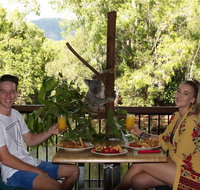 Hartley's Crocodile Adventures Entry Ticket and Breakfast with the Koalas - Accommodation Bookings
