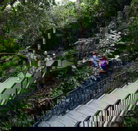 4-Day Cairns with Great Barrier Reef and Daintree Rainforest - Accommodation Bookings