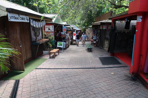 Kuranda Tour Via Skyrail And Kuranda Scenic Rail - Accommodation Bookings 8