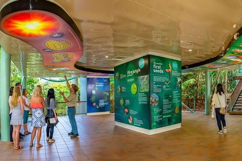 Kuranda Tour Via Skyrail And Kuranda Scenic Rail - Accommodation Bookings 20