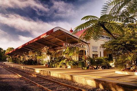 Kuranda Tour Via Skyrail And Kuranda Scenic Rail - Accommodation Bookings 11