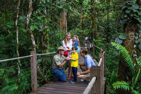 Kuranda Tour Via Skyrail And Kuranda Scenic Rail - Accommodation Bookings 14