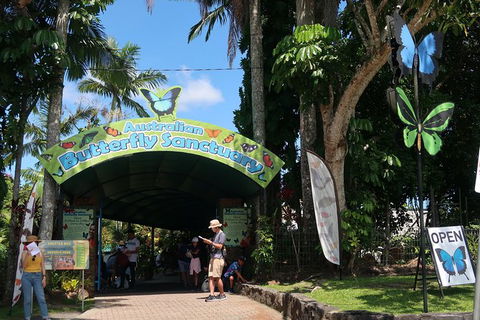 Kuranda Tour Via Skyrail And Kuranda Scenic Rail - Accommodation Bookings 19