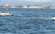 Jet Ski Safaris Ultimate Adventure - thumb 4