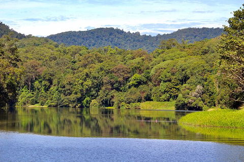 Kuranda Riverboat Sightseeing Cruise - Accommodation Bookings 7