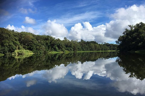 Kuranda Riverboat Sightseeing Cruise - Accommodation Bookings 13