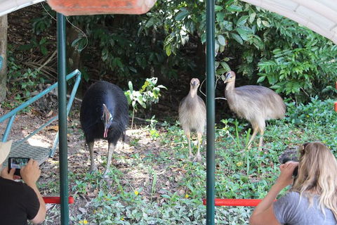 Kuranda Riverboat Sightseeing Cruise - Accommodation Bookings 4
