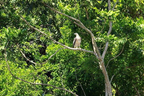 Kuranda Riverboat Sightseeing Cruise - Accommodation Bookings 1