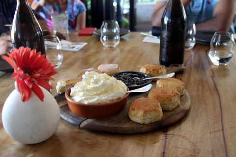 Small-Group Afternoon Cairns City Tour With Harbour Dinner Cruise - Accommodation Bookings 6