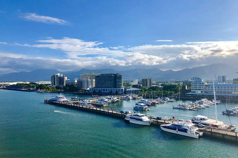 Small-Group Afternoon Cairns City Tour With Harbour Dinner Cruise - Accommodation Bookings 5