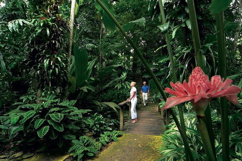 Small-Group Afternoon Cairns City Tour With Harbour Dinner Cruise - Accommodation Bookings 8